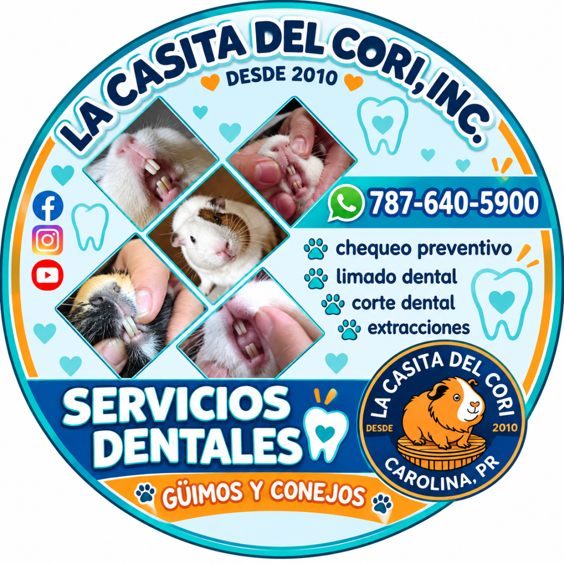 SERVICIO DENTAL