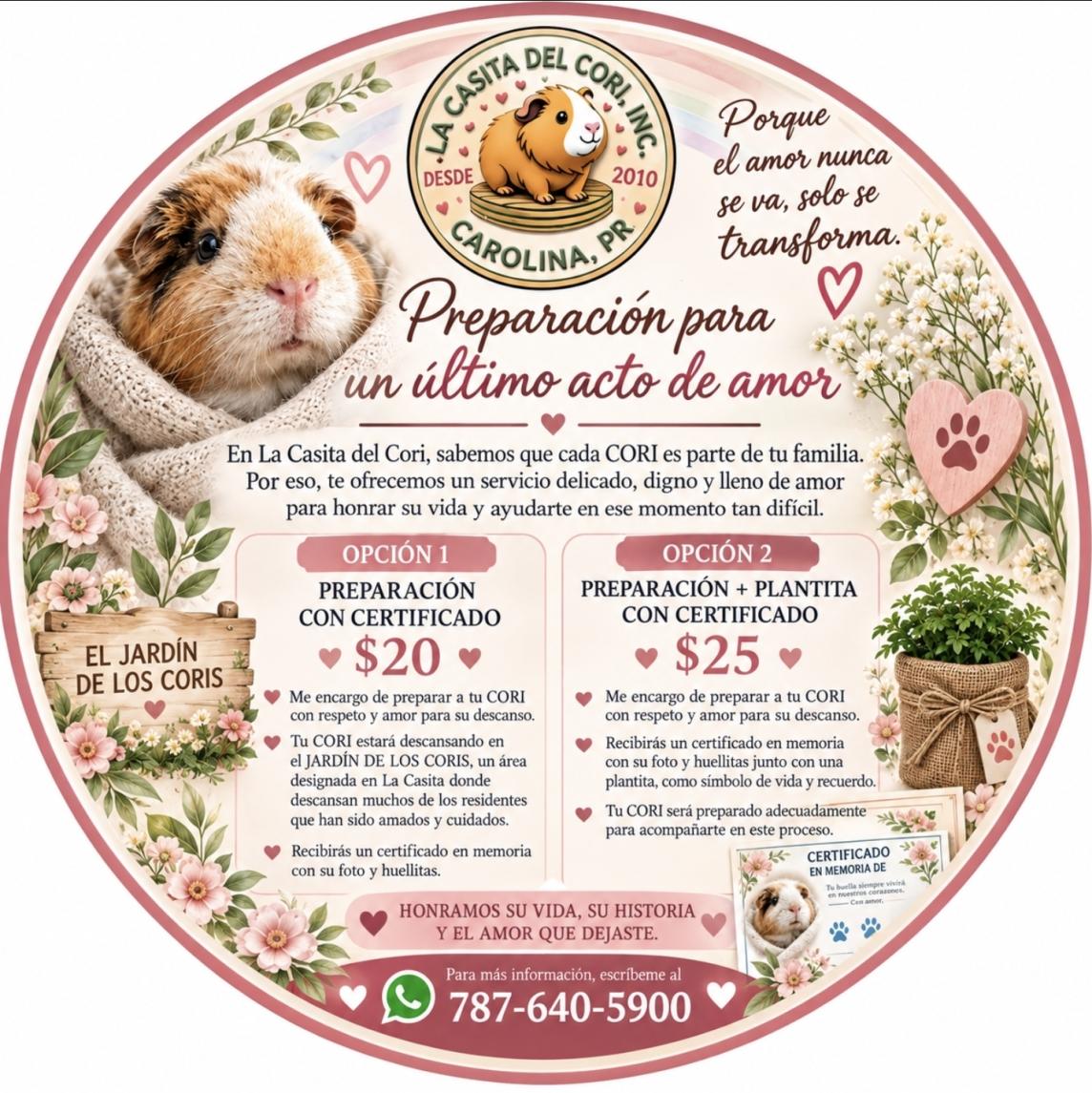 SERVICIO BÁSICO