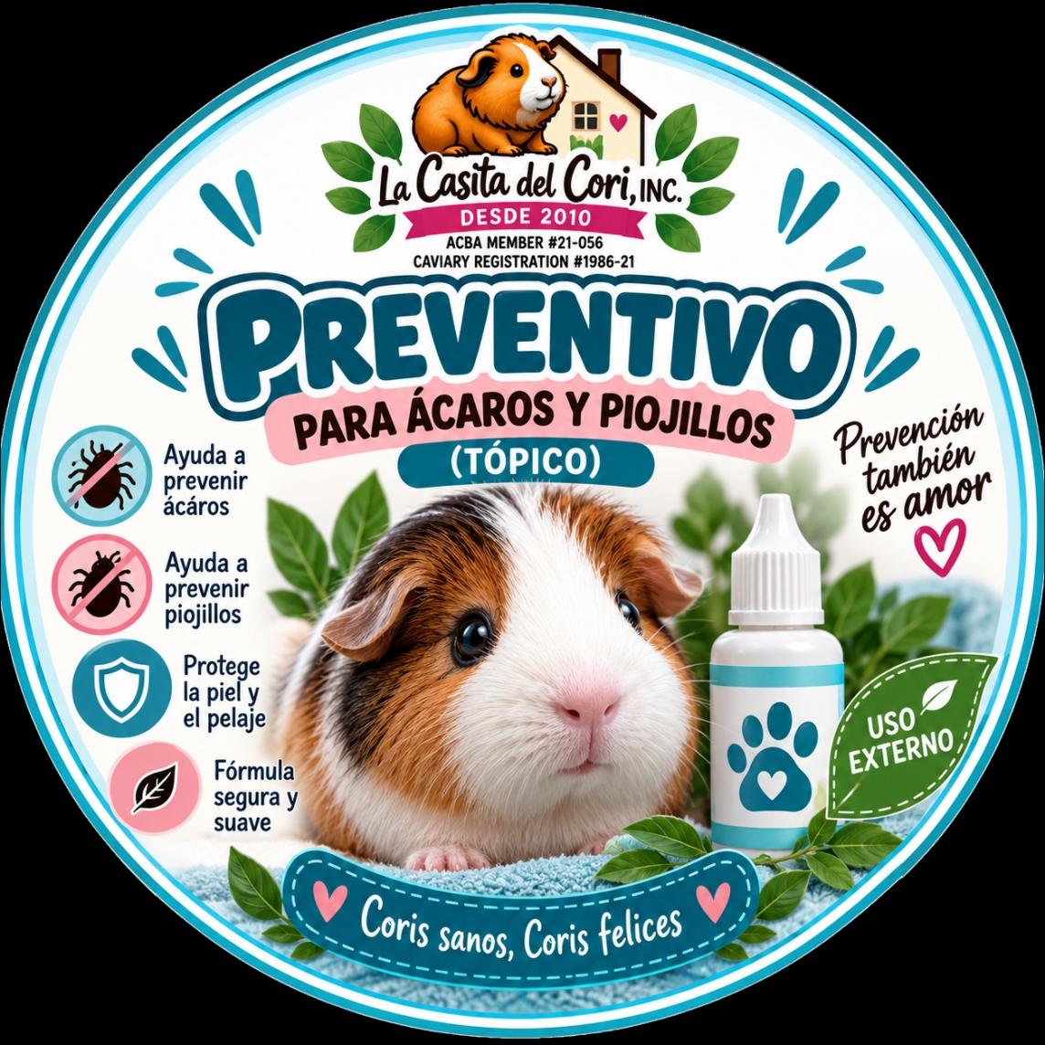 PREVENTIVO