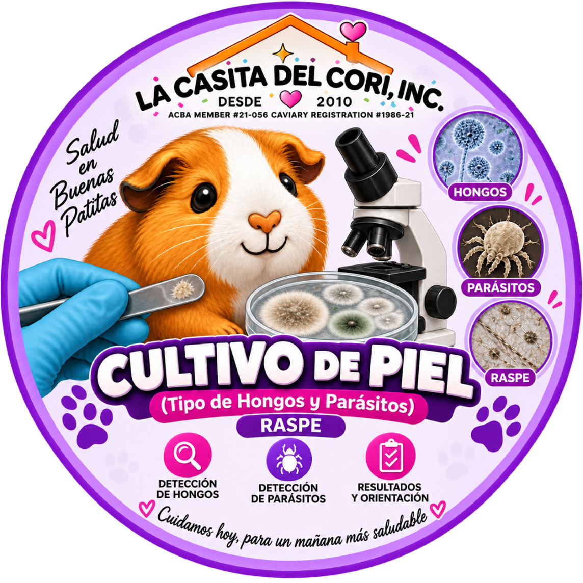 CULTIVO DE PIEL