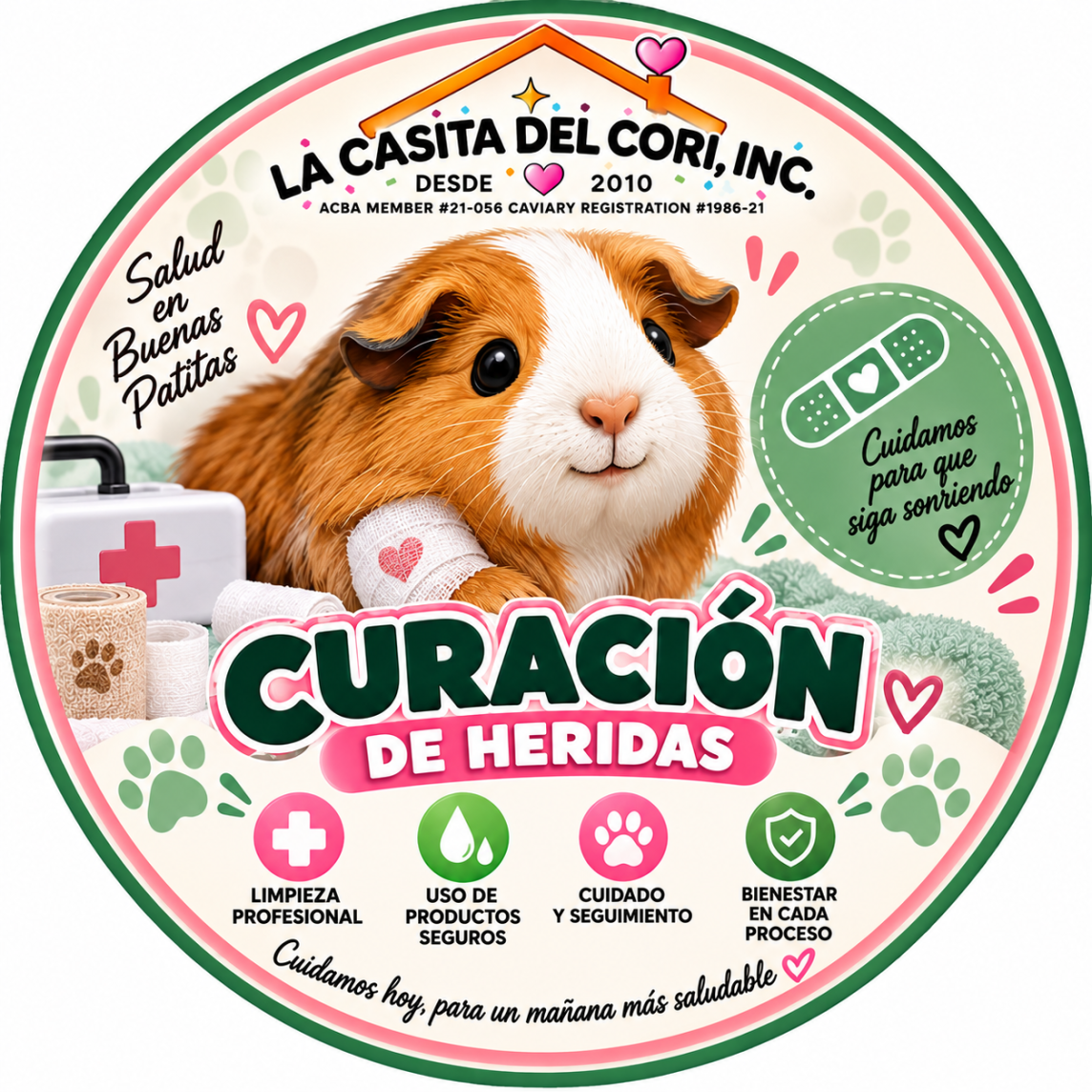 CURACIÓN